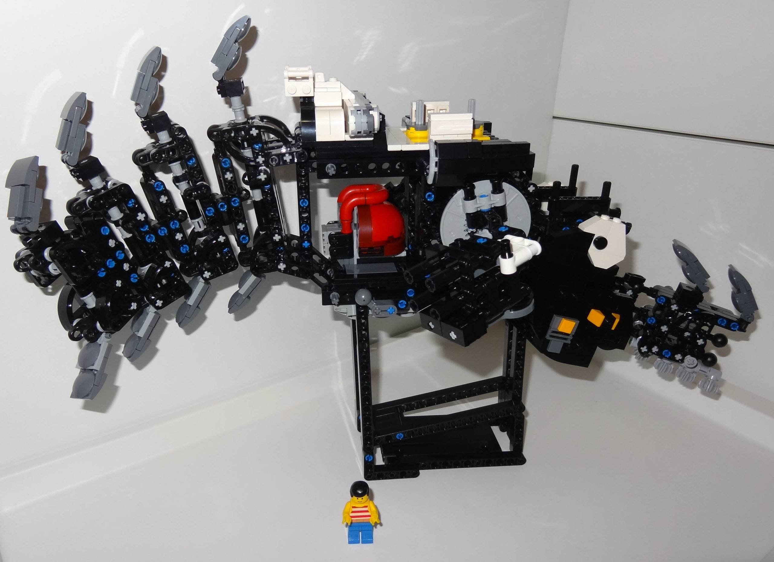 Thunderjaw Skeleton